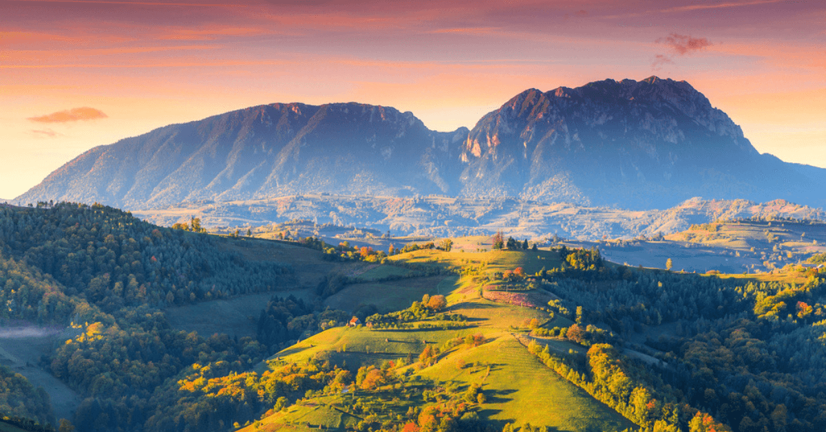 Activitate Vila Alice & Denis