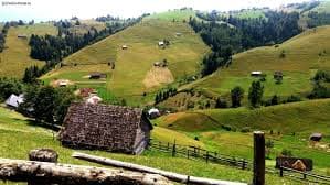 Activitate Vila Alice & Denis